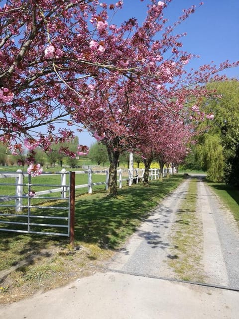 Poezelhoekvallei appartement Apartment in Flanders