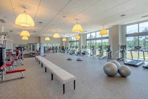 Fitness centre/facilities, Decorative detail, Garden view, Lake view, Landmark view, River view