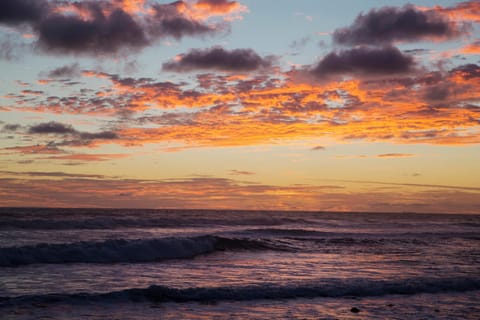 Natural landscape, Beach, Sunset