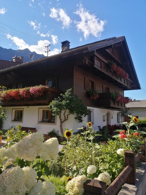 Property building, Garden, Garden view