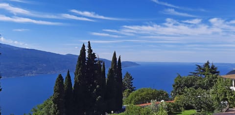 Natural landscape, View (from property/room)