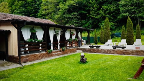 Casa Alex Nature lodge in Timiș County