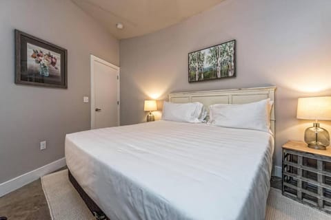 Green Door Lofts -Magnolia Loft, Silos/Downtown Apartment in Waco