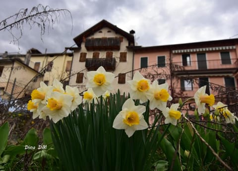 “Oltre il Confine” Apartment in Belluno