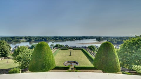 Patio, Garden view