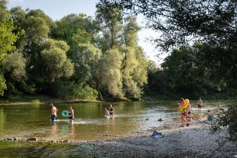 Day, Activities, River view