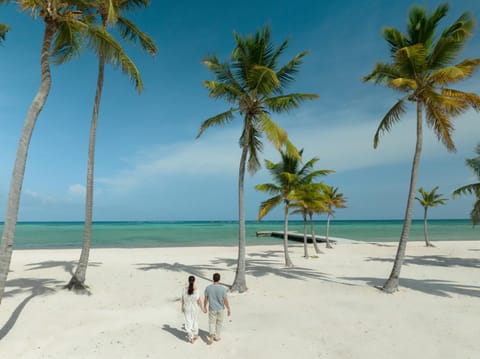 Hyatt Zilara Cap Cana - Adults Only Resort in Punta Cana