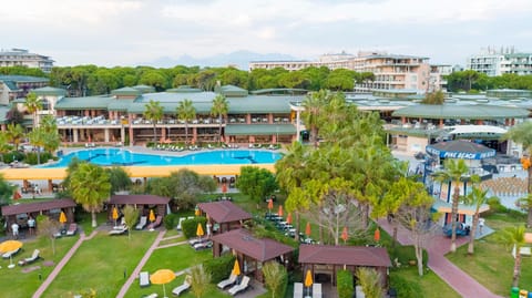 Bird's eye view, Garden, Pool view