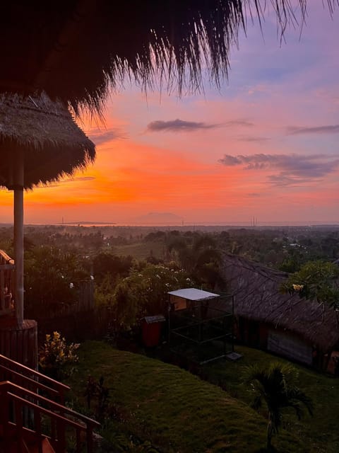 Natural landscape, Garden view