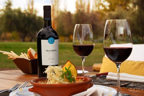 Algodon Wine Estates & Champions Club Hotel in Mendoza Province Province
