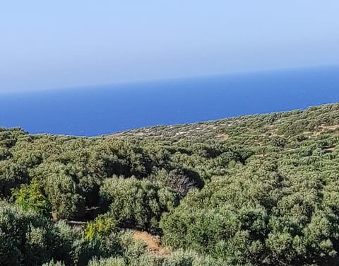 Natural landscape, View (from property/room), Mountain view, Sea view