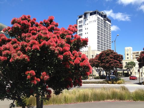 Facade/entrance, Natural landscape, Street view