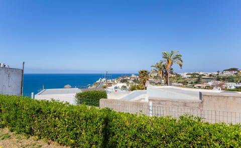 Garden, Sea view, Street view