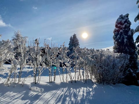 Natural landscape, Winter