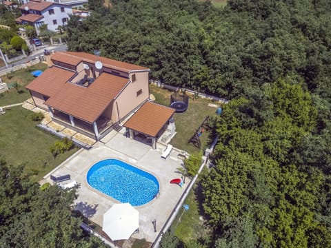 Bird's eye view, Summer, Swimming pool