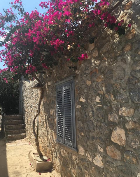 Angeliko's Vourgaris stone house Casa in Islands