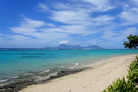 Natural landscape, Beach