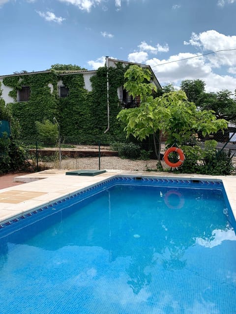 Garden, Garden view, Pool view, Swimming pool