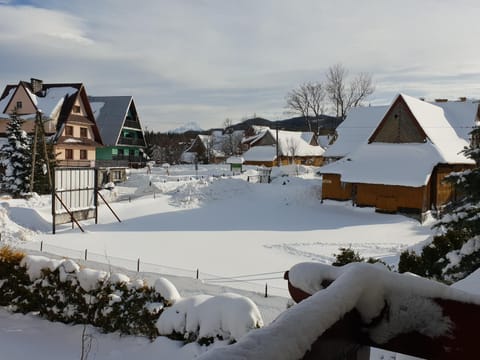 Natural landscape, Winter, On site, Quiet street view