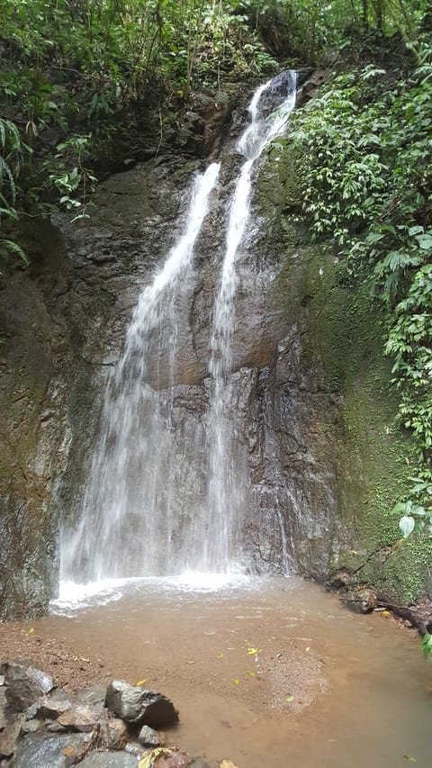 Natural landscape, Hiking