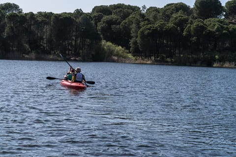 Activities, Lake view