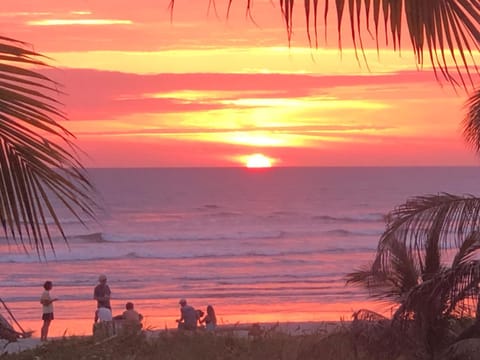 Natural landscape, Beach, Sunset