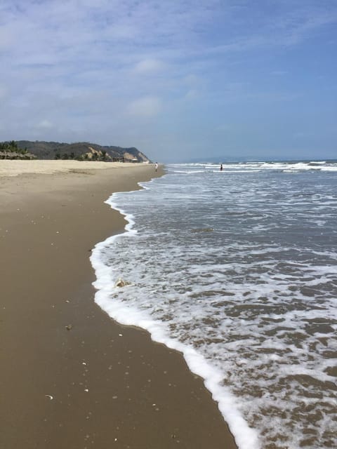 Natural landscape, Horse-riding, Beach, Hiking, Sea view