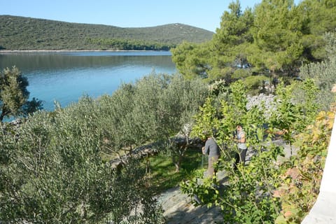 Location, children, Family