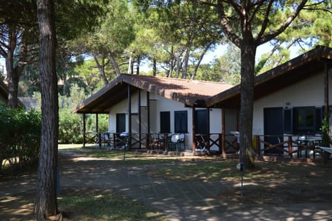 Property building, Garden view