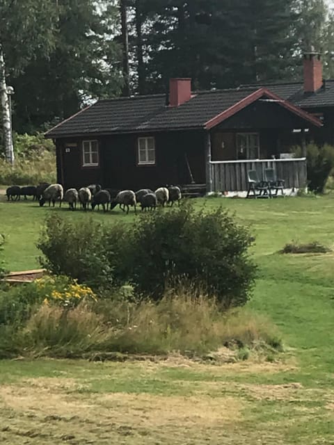 Siljansnäs Stugby & Resort Campground/ 
RV Resort in Sweden