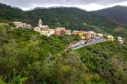 Neighbourhood, Street view