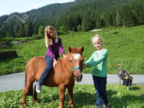 Children play ground, Horse-riding