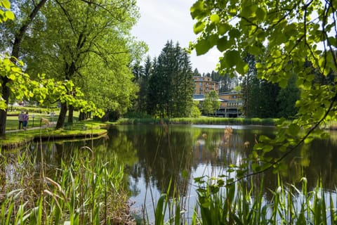 Day, Natural landscape, Garden, Garden view, Lake view