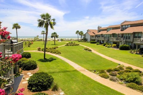 Property building, Day, Garden