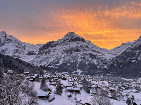 Apartment Chalet Shangri La by Interhome Apartment in Grindelwald