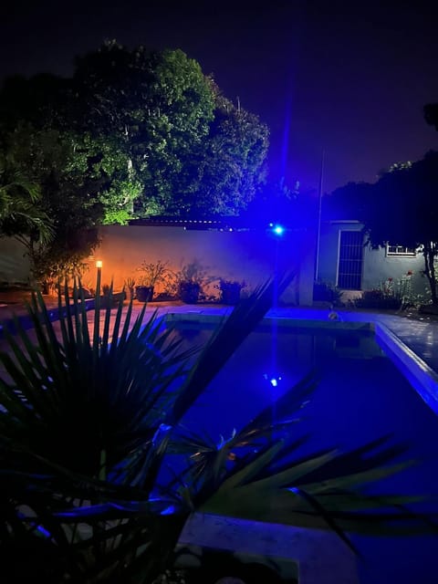 Night, Garden, Garden view, Pool view, Swimming pool