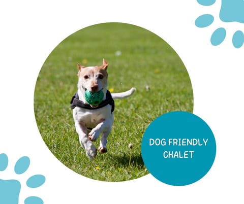 Sandhaven Beach Chalets Chalet in South Shields