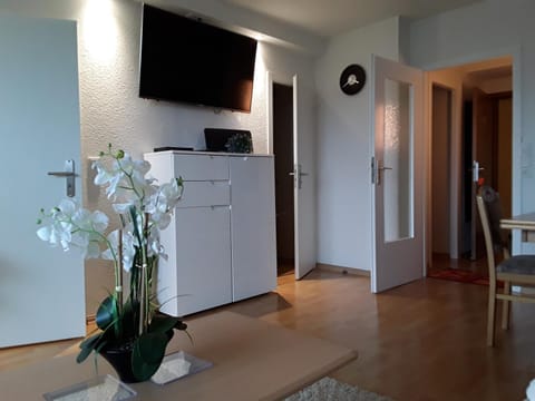 Apartmenthotel Hohegeiß Kasing MIT FREIEM WLAN und Schwimmbad Apartment in Braunlage