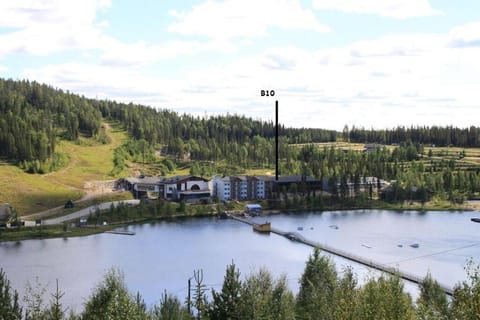 SKIVILLAS 61 UKKOHALLA Apartment in Finland