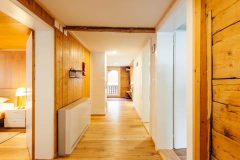 Casa Nacla Sedrun/Surrein Apartment in Canton of Grisons