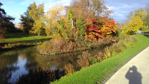 Natural landscape, Garden