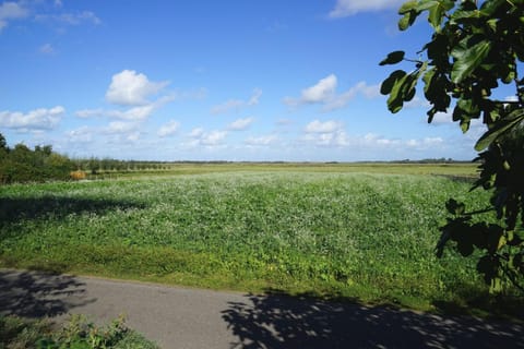 Loevesteijn - Ouddorp House in Ouddorp