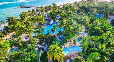 Bird's eye view, Aqua park, Swimming pool