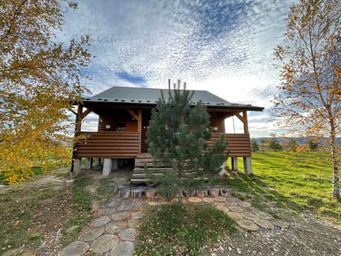 Natural landscape, Garden view