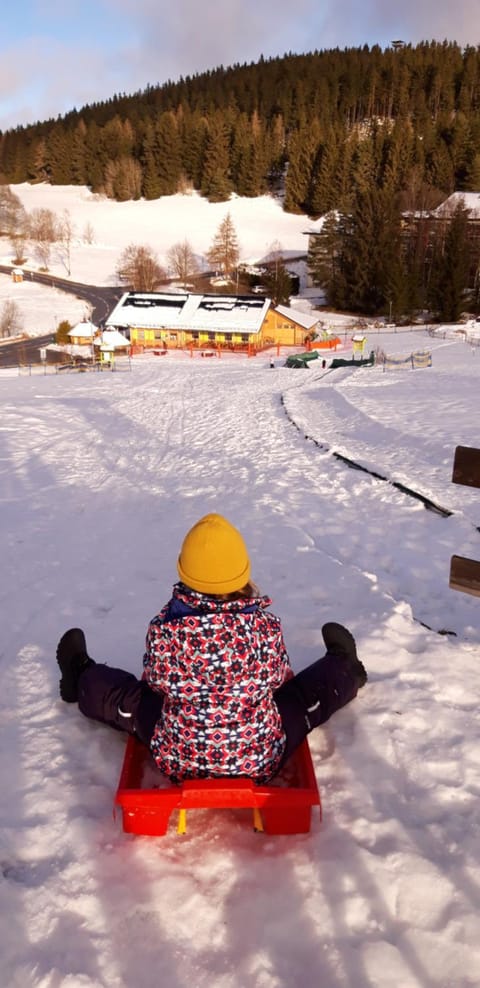 Ferienwohnung am Schluchsee Apartment in Schluchsee