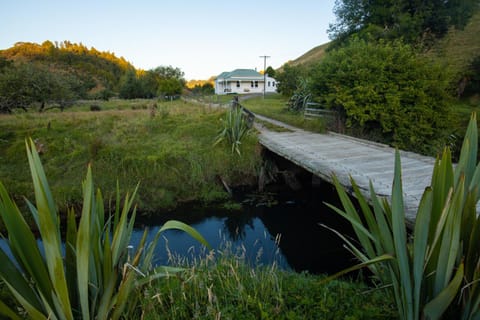 Natural landscape, River view