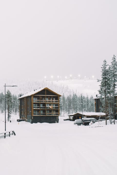 Tunturinlaita D3 Chalet in Lapland