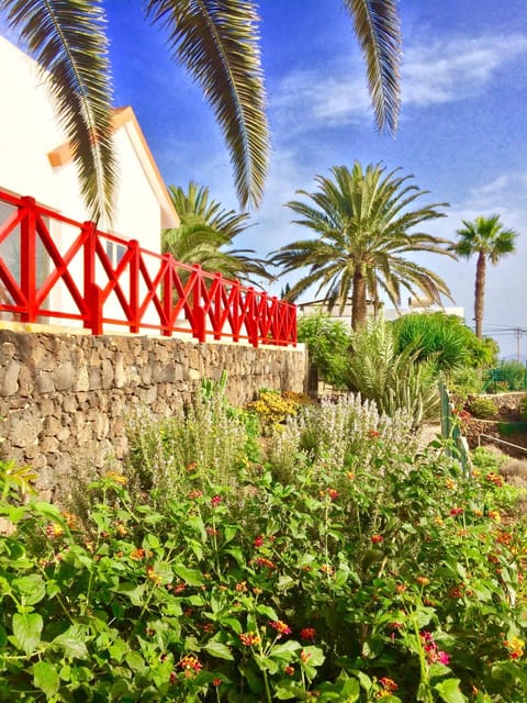 Garden, Garden view