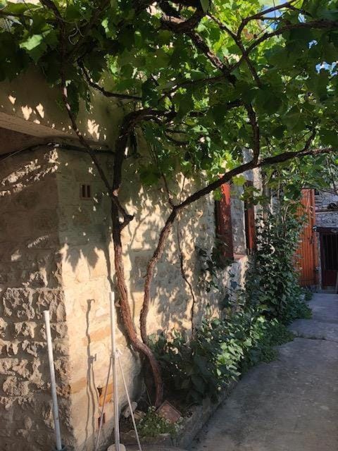 Fontaine-de-Vaucluse : maison avec vues Maison in Fontaine-de-Vaucluse