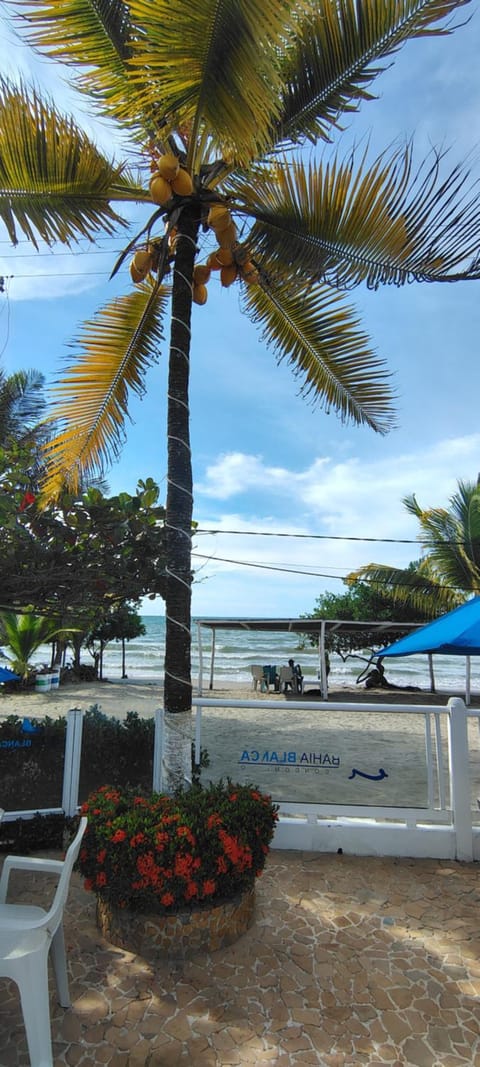 Beach, Sea view